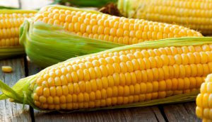 کود نانو ذرت