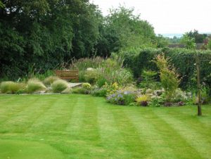 کود نانو فضای سبز