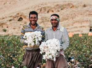 کود نانو پنبه