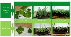 شیراز کود نانو