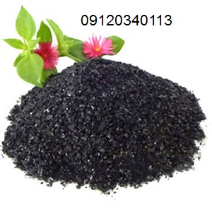 کود نانو ارگانیک