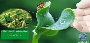 کود نانو زیستی