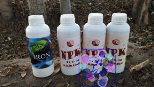 کود نانو مایع