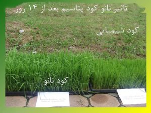 کود نانو پتاسیم