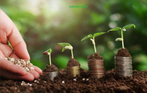 کود نانو تکنولوژِی