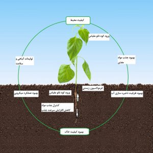 کود نانو کشاورزی