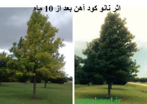 کود نانو کلات آهن