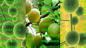 کود نانو فرتایل