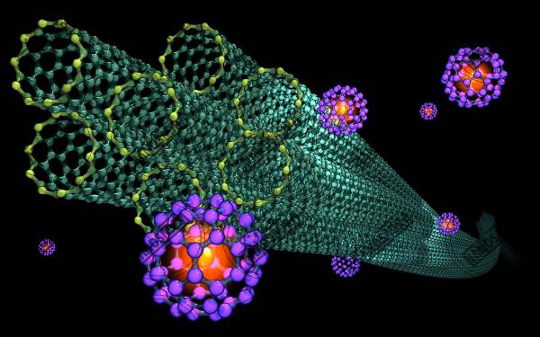 بررسی تولید زیستی نانو ذرات