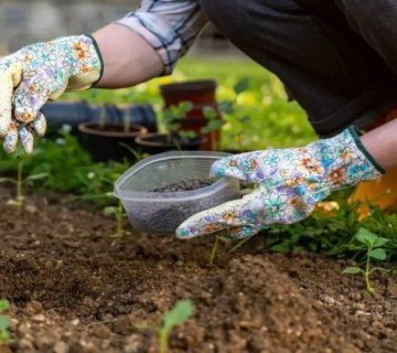 کود ارگانیک ارگانامین